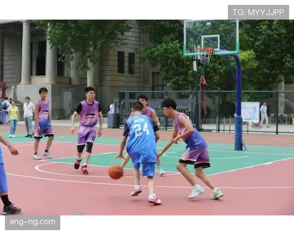 详细解析篮球 14 秒重置规则的触发条件与执行标准